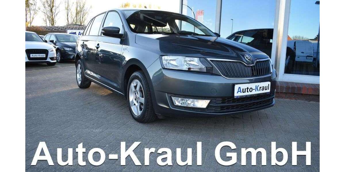 Skoda Rapid/Spaceback 164.070 km 7.649 &euro; Rehna 19217