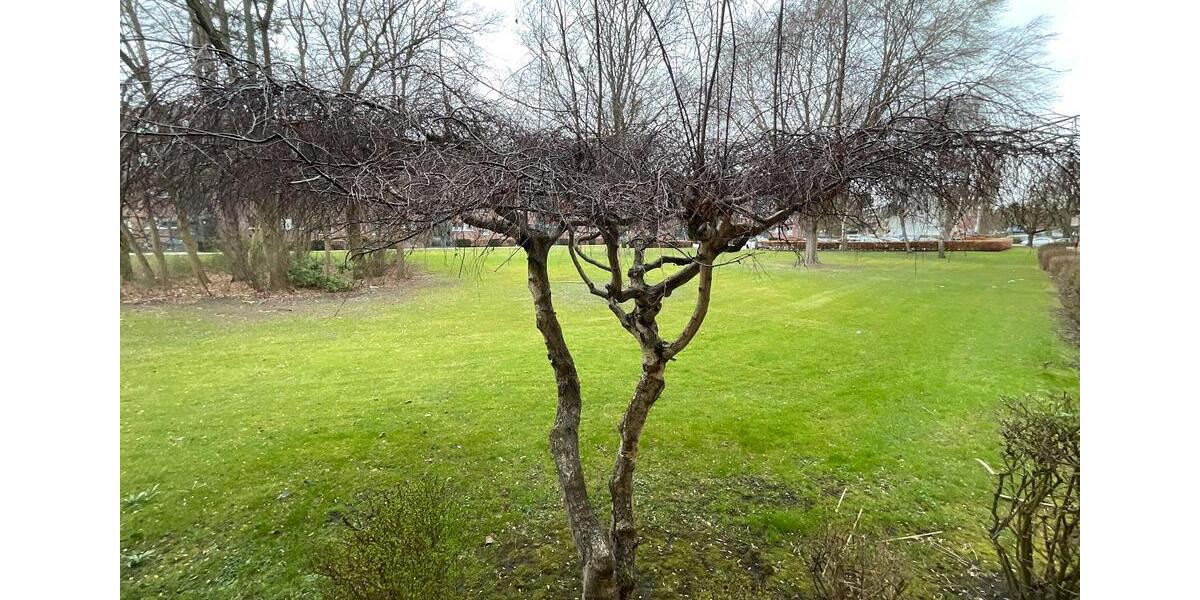 Erdgeschoßwohnung Lübeck Sankt Lorenz Nord - 2.5 Zimmer, 60 m&sup2;, 579&euro; | Angebot:26106365