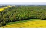 Einfamilienhaus Ahrensbök - 10 Zimmer, 280 m&sup2;, 660.000&euro; | Angebot:27176211