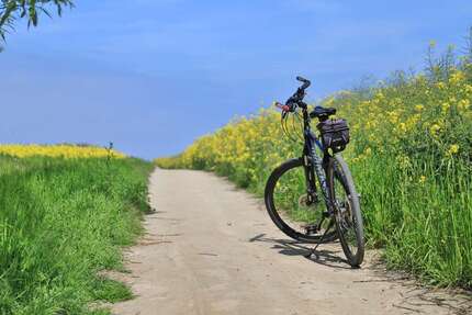 Wohnung Warnkenhagen Warnkenhagen - 2 Zimmer, 60 m&sup2;, 540&euro; | Angebot:24331914