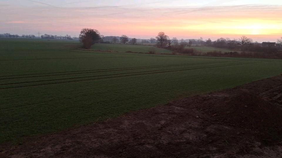 Neubau Erstbezug 6 freie Reihenhäuser an Feldrandlage 4 zimmer