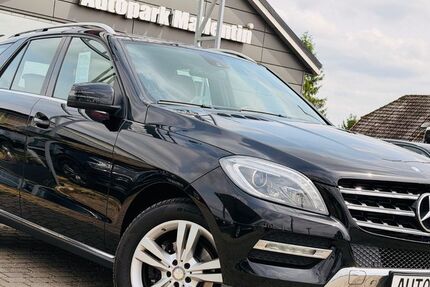 Mercedes-Benz ML 250 185.000 km 19.899 &euro; Stepenitztal 23936