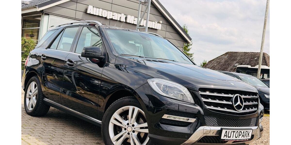 Mercedes-Benz ML 250 185.000 km 19.899 &euro; Stepenitztal 23936