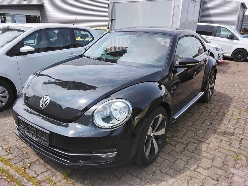 Beetle