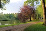 Ein Haus mit Charakter – Reihenendhaus mit großem Garten und viel Potenzial in Lübeck - Reihenendhaus Lübeck Burgtor / Stadtpark | Angebot:26931786