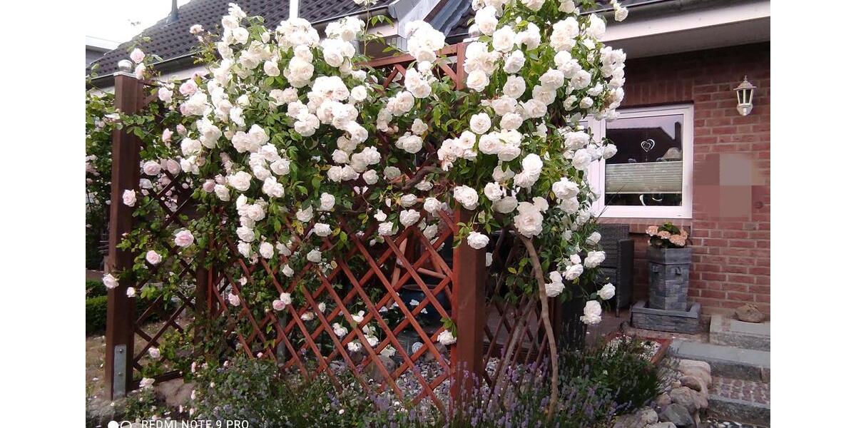 Reihenhaus Bad Schwartau - 4 Zimmer, 99 m&sup2;, 459.000&euro; | Angebot:25238580