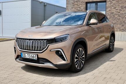 Togg T10X 6.000 km 45.000 &euro; Bad Oldesloe 23843