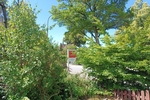 Ein Haus mit Charakter – Reihenendhaus mit großem Garten und viel Potenzial in Lübeck - Reihenendhaus Lübeck Burgtor / Stadtpark | Angebot:26931786