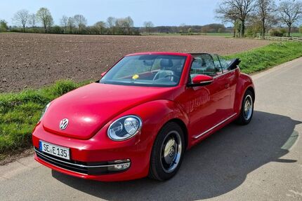 VW Beetle 153.000 km 14.000 &euro; Pronstorf OT Eilsdorf 23820