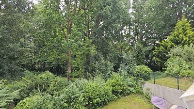 KLEIN ABER FEIN - FERIENVERMIETUNG AN DER OSTSEE - Wohnung Sierksdorf | Angebot:24717915