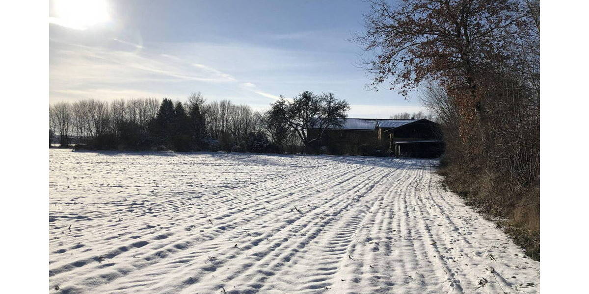 Mehrfamilienhaus, Wohnhaus Wentorf Amt Sandesneben (Kreis Lauenburg) Bullenhorst - 1 Zimmer, 374 m&sup2;, 795.000&euro; | Angebot:26188602