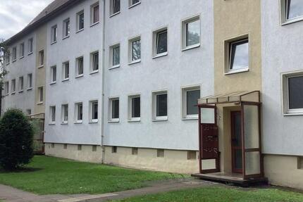 Kleine niedliche 2 Zimmer Wohnung,top renoviert und sofort anmietbar! 2 zimmer