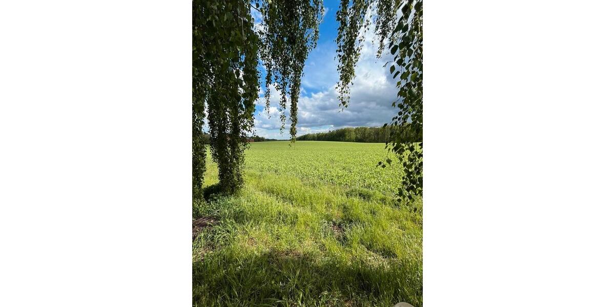 Doppelhaushälfte Breitenfelde - 4 Zimmer, 110 m&sup2;, 1.400&euro; | Angebot:26550256