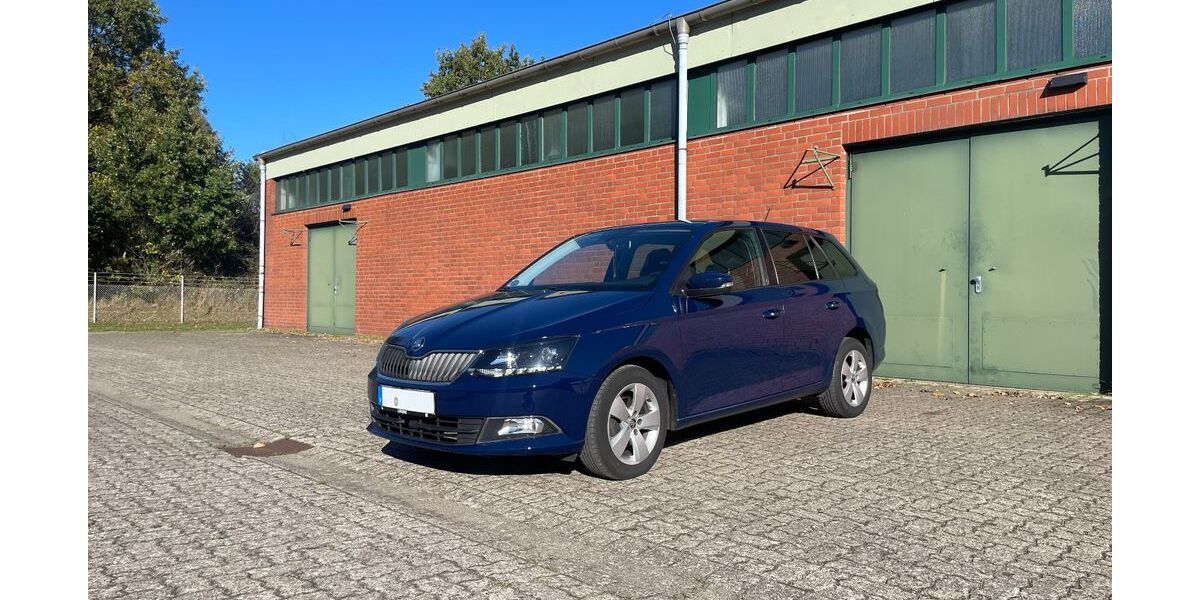 Skoda Fabia 137.000 km 9.000 &euro; Bad Oldesloe 23843