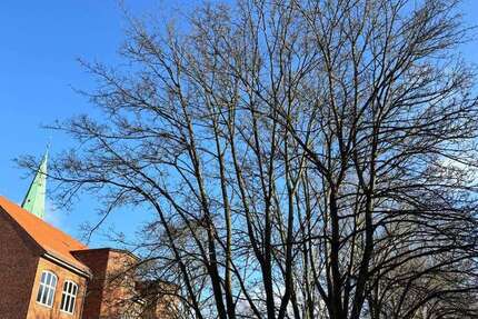 Wohnung Lübeck Innenstadt - 2 Zimmer, 68 m&sup2;, 1.326&euro; | Angebot:25333574