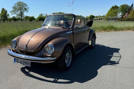 VW Käfer 49.000 km 39.000 &euro; Travenbrück (OT Tralau) 23843