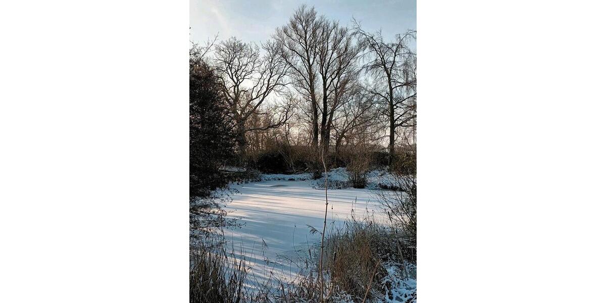 Einfamilienhaus Neustadt in Holstein - 5 Zimmer, 159 m&sup2;, 385.000&euro; | Angebot:24428922