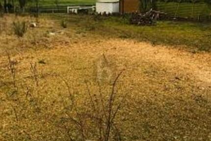 PERFEKT FÜR FAMILIEN UND OSTSEELIEBHABER zimmer