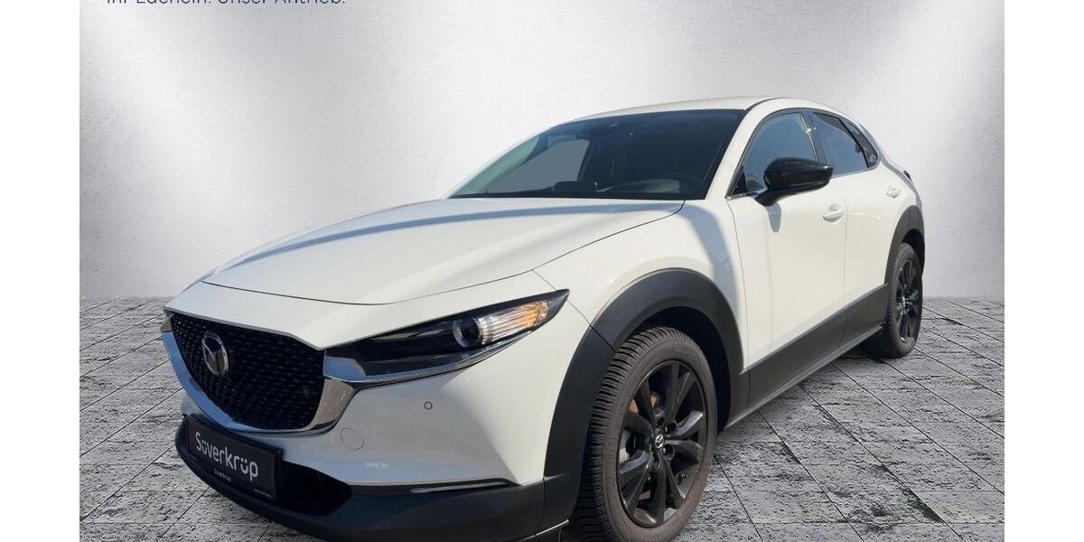 Mazda CX-30 37.000 km 23.490 &euro; Bad Oldesloe 23843