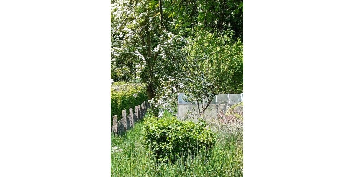 Mehrfamilienhaus, Wohnhaus Rehna - 120.000&euro; | Angebot:26777797