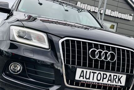 Audi Q5 150.000 km 16.849 € Stepenitztal 23936