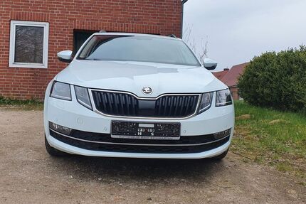 Skoda Octavia 161.539 km 11.777 &euro; Rehhorst 23619