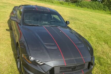 Ford Mustang 96.000 km 29.199 &euro; Sierksdorf 23730