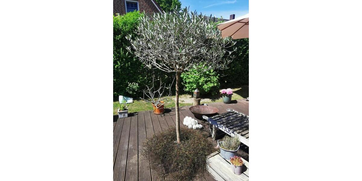 Haus in begehrter Wohnlage in Groß Steinrade zu verkaufen 5 zimmer