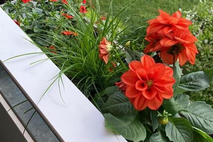 Wohnung Bad Schwartau - 3 Zimmer, 60 m&sup2;, 1.600&euro; | Angebot:24571003