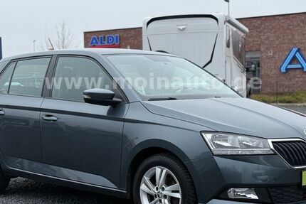 Skoda Fabia 29.000 km 13.490 &euro; Reinfeld 23858