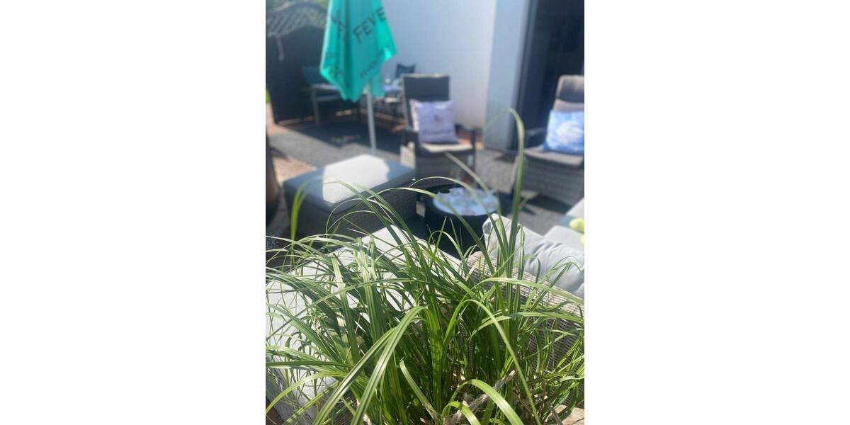 Doppelhaushälfte Techau Techau - 4 Zimmer, 87 m&sup2;, 389.000&euro; | Angebot:24846674