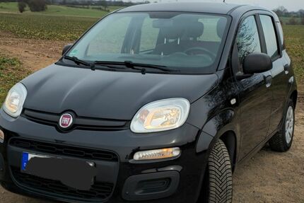 Fiat New Panda 118.996 km 5.199 &euro; Westerrade 23815