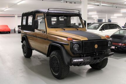 Mercedes-Benz G 230 50.000 km 52.000 &euro; Schönberg 23923