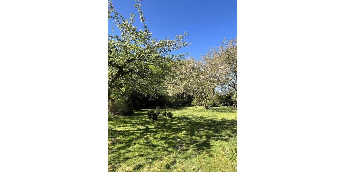 Mehrfamilienhaus, Wohnhaus Wentorf Amt Sandesneben (Kreis Lauenburg) Bullenhorst - 1 Zimmer, 374 m&sup2;, 795.000&euro; | Angebot:26188602
