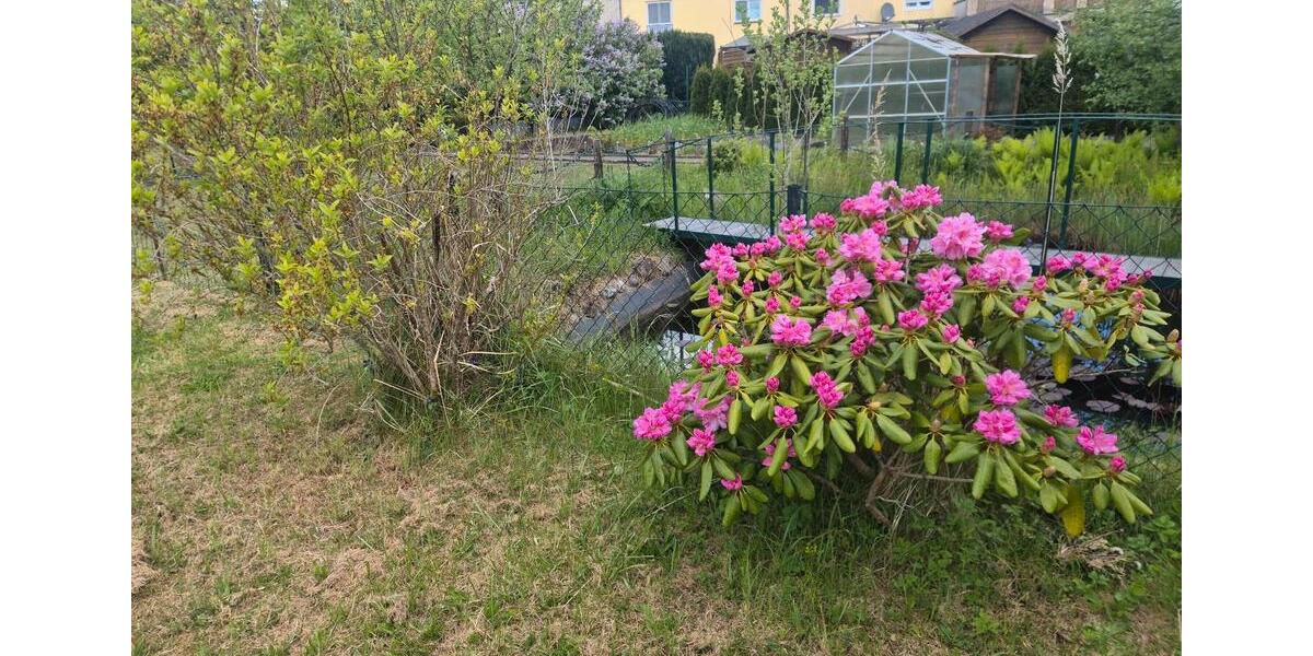Grundstück Lübeck Sankt Gertrud - 1.000&euro; | Angebot:26654120