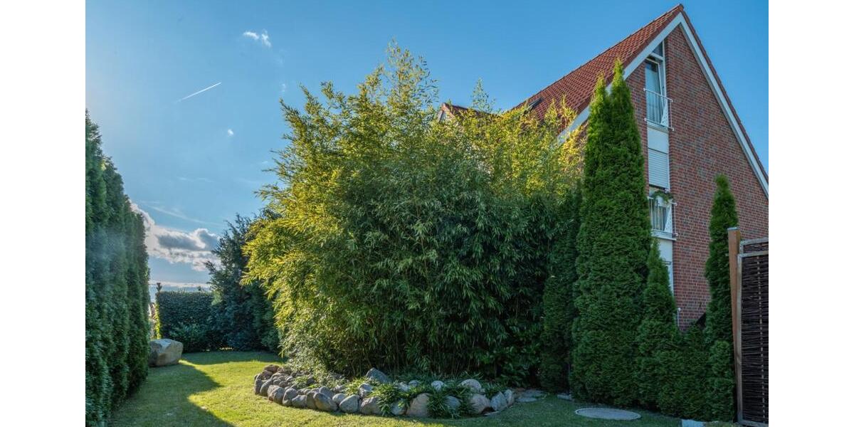 Erdgeschoßwohnung Dassow - 2 Zimmer, 68 m&sup2;, 720&euro; | Angebot:26349732