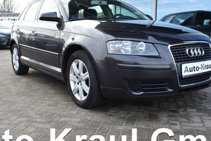 Audi A3 187.164 km 4.599 &euro; Rehna 19217