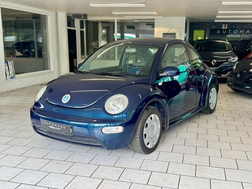 Beetle