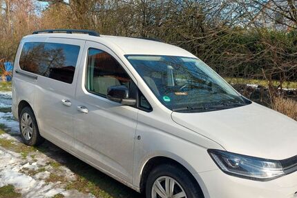 VW Caddy Maxi 116.000 km 22.980 &euro; Wakendorf 23992