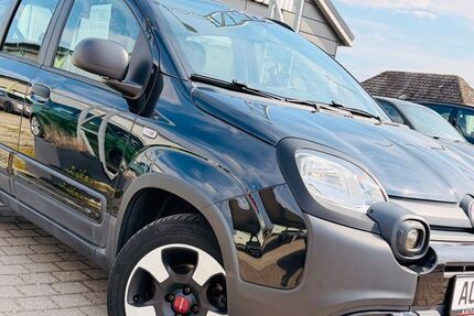 Fiat Panda 46.500 km 8.948 &euro; Stepenitztal 23936