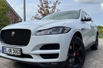 Jaguar F-Pace 118.500 km 17.999 &euro; Nehms 23813