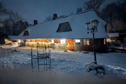 Wohnung Wensin - 1 Zimmer, 25 m&sup2;, 550&euro; | Angebot:24378671