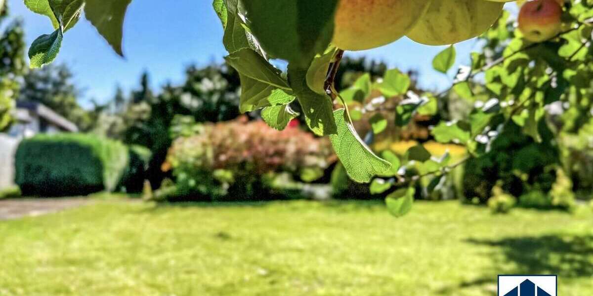 Einfamilienhaus Lübeck Sankt Jürgen - 7 Zimmer, 169 m&sup2;, 299.000&euro; | Angebot:23221672
