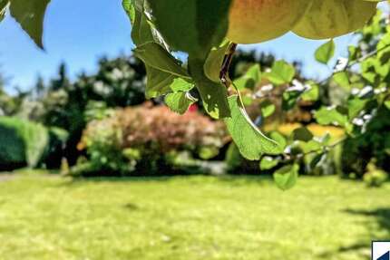 Haus zum Kaufen in Lübeck 299.000 € 169.18 m² 7 zimmer