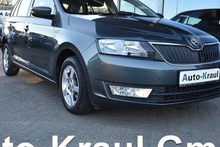 Skoda Rapid 164.070 km 7.249 &euro; Rehna 19217
