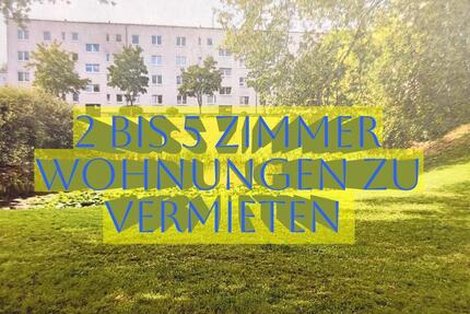 Wohnung Mölln - 2 Zimmer, 52 m&sup2;, 317&euro; | Angebot:24577317