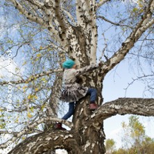 Als die Großen den Wald zerstörten 07.12.2025 THEATER LÜBECK