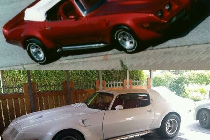 Pontiac Trans Am 60.000 km 17.500 &euro; Elmenhorst 23869