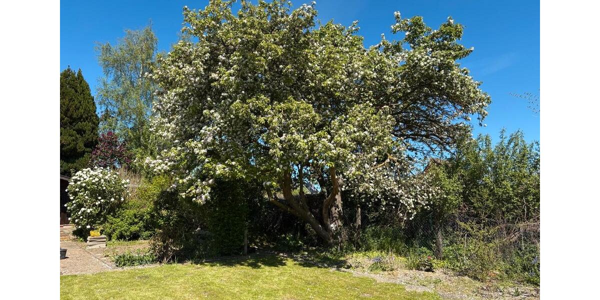 Grundstück Timmendorfer Strand - 2.500&euro; | Angebot:26321846