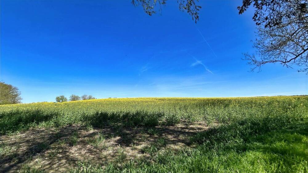 Doppelhaushälfte Dassow Prieschendorf - 4 Zimmer, 85 m&sup2;, 179.000&euro; | Angebot:26499734